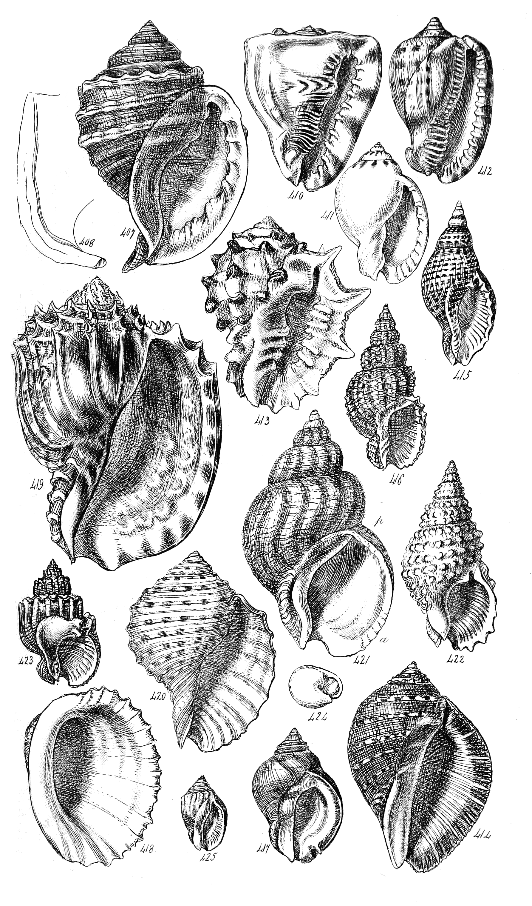 Fig. 407 to 425. 409 in the last.