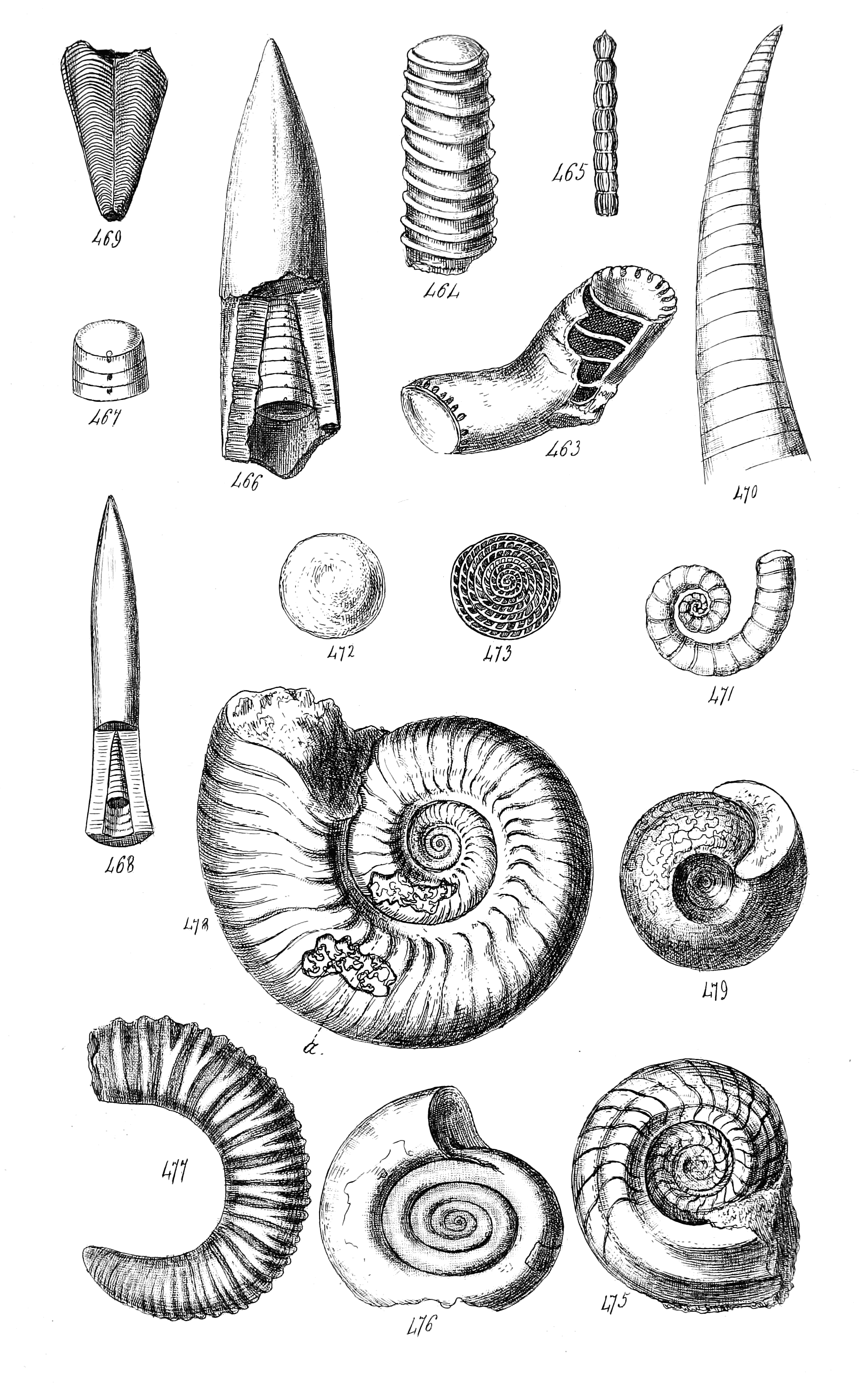 Fig. 463 to 479.