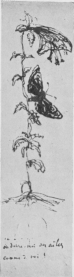 THE FLOWER AND THE BUTTERFLY.
Drawing by Victor Hugo for Juliette (Victor Hugo Museum).