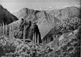 THE QUDSHANIS MOUNTAINS.

From the village of Shwawutha, the scene of the incident related on p.
263. The Zab river is just visible at the foot of the glen, and beyond
it rises the great mass of the Kokobuland Dagh. Qudshanis lies just
below the snow line, at the head of the lateral valley opposite.

No. 10