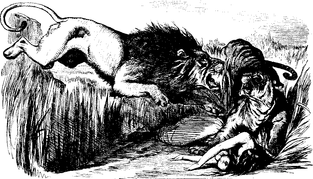 Lion fighting a tiger
