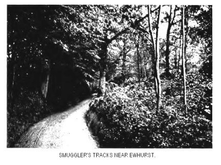 Smuggler’s tracks near Ewhurst