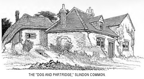 The “Dog and Partridge,” Slindon Common