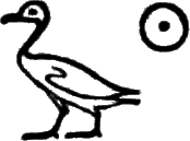 glyph