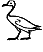 glyph