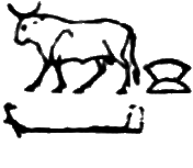 glyph