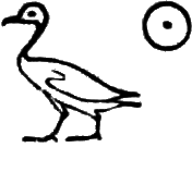 glyph