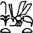 glyph