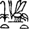 glyph