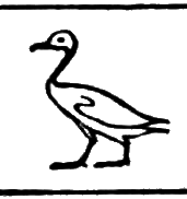 glyph