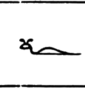 glyph