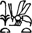 glyph