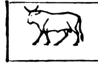 glyph