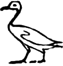 glyph