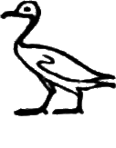 glyph