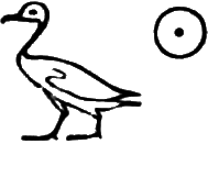 glyph