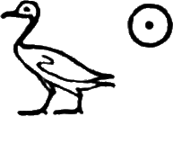 glyph