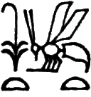glyph