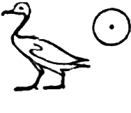 glyph