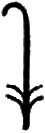 glyph
