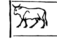 glyph