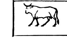 glyph