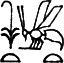 glyph