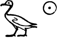 glyph