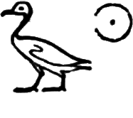glyph