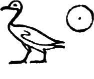 glyph