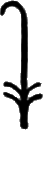 glyph