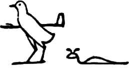 glyph
