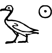 glyph