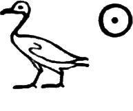 glyph