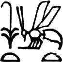 glyph