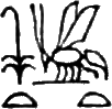 glyph