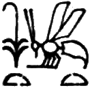 glyph