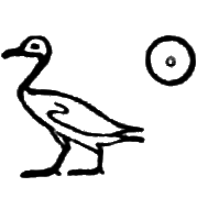 glyph