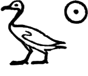 glyph