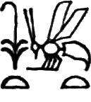 glyph