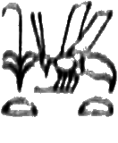 glyph