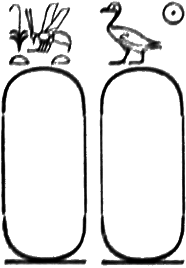 glyph