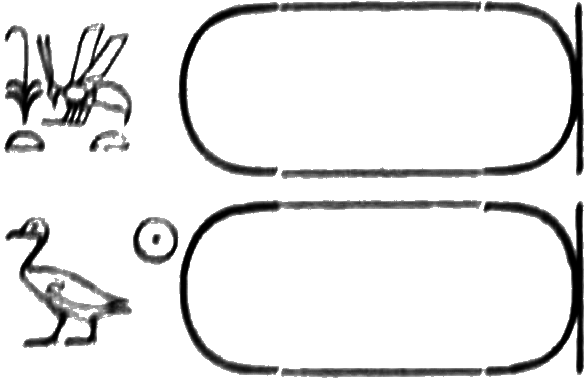 glyph
