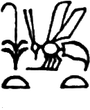 glyph