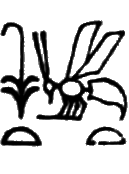 glyph