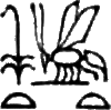 glyph