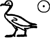 glyph