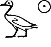 glyph
