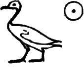 glyph