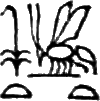 glyph